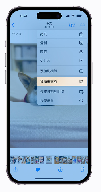 千家镇苹果手机维修分享iOS 16 小技巧 
