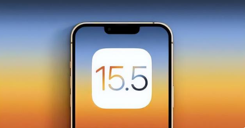 千家镇苹果手机维修分享iOS15.5 RC版升级建议 