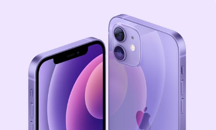 千家镇苹果手机维修分享紫色版iPhone 12有什么技术亮点 